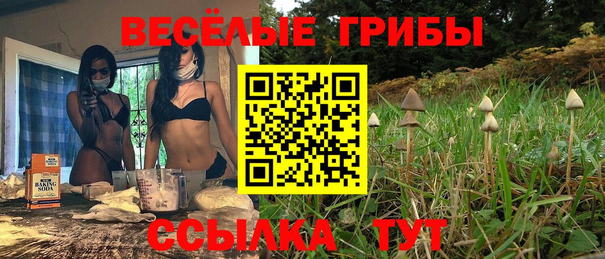 купить наркотик  Галлюциногенные грибы GOLDEN TEACHER  Вход с VPN  Лабинск 